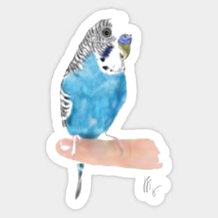 Pretty Blue Parakeet Budgie Sticker